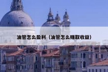 油管怎么盈利（油管怎么赚取收益）
