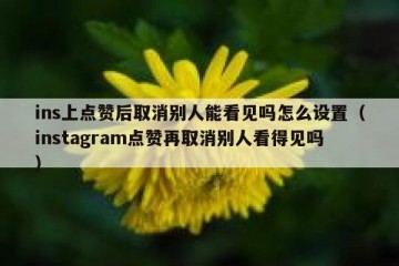 ins上点赞后取消别人能看见吗怎么设置（instagram点赞再取消别人看得见吗）