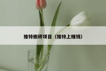 推特搬砖项目（推特上赚钱）
