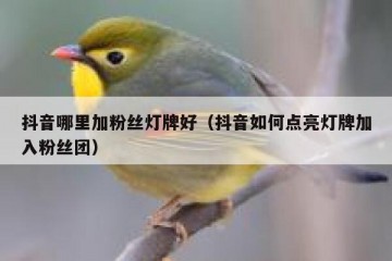 抖音哪里加粉丝灯牌好（抖音如何点亮灯牌加入粉丝团）