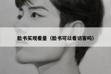 脸书买观看量（脸书可以看访客吗）