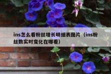 ins怎么看粉丝增长明细表图片（ins粉丝数实时变化在哪看）