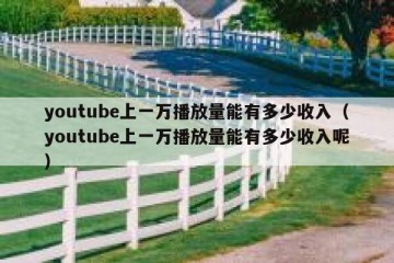 youtube上一万播放量能有多少收入（youtube上一万播放量能有多少收入呢）