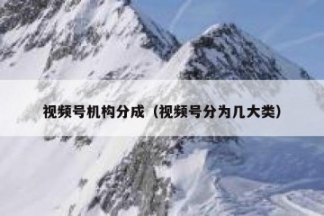 视频号机构分成（视频号分为几大类）