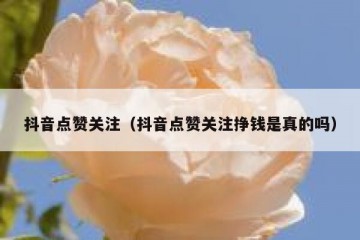 抖音点赞关注（抖音点赞关注挣钱是真的吗）