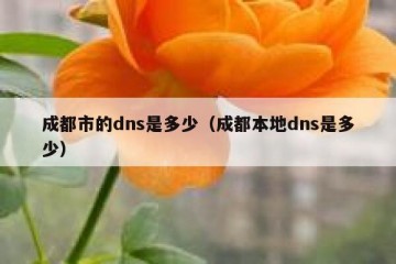 成都市的dns是多少（成都本地dns是多少）