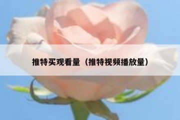 推特买观看量（推特视频播放量）