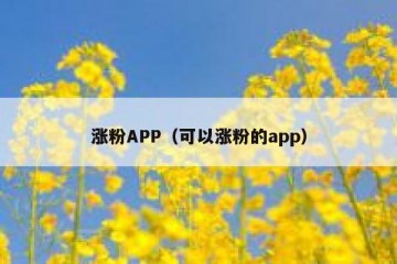 涨粉APP（可以涨粉的app）