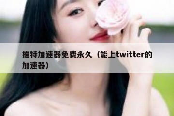 推特加速器免费永久（能上twitter的加速器）