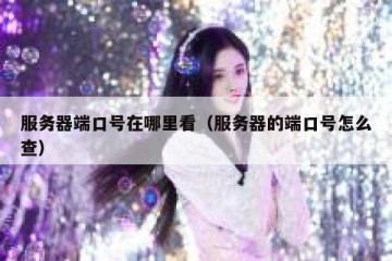 服务器端口号在哪里看（服务器的端口号怎么查）