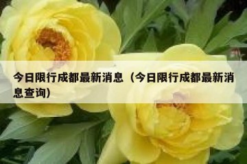 今日限行成都最新消息（今日限行成都最新消息查询）