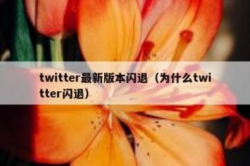 twitter最新版本闪退（为什么twitter闪退）