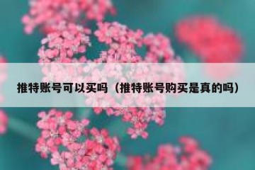 推特账号可以买吗（推特账号购买是真的吗）