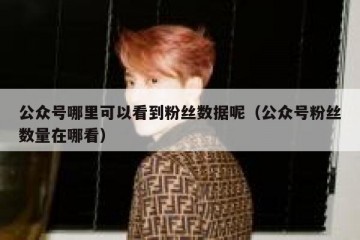 公众号哪里可以看到粉丝数据呢（公众号粉丝数量在哪看）