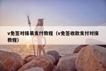 v免签对接易支付教程（v免签收款支付对接教程）