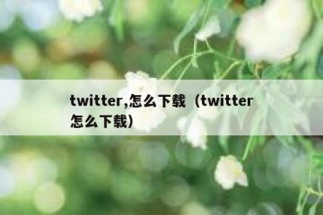 twitter,怎么下载（twitter怎么下载）