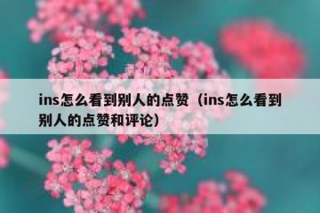 ins怎么看到别人的点赞（ins怎么看到别人的点赞和评论）