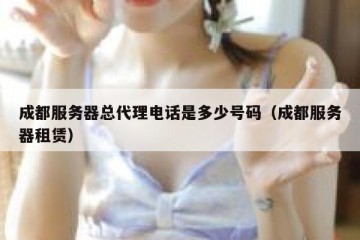 成都服务器总代理电话是多少号码（成都服务器租赁）