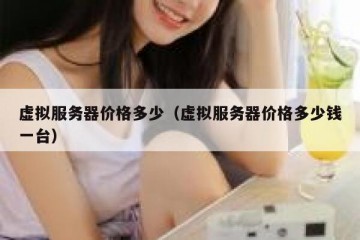 虚拟服务器价格多少（虚拟服务器价格多少钱一台）