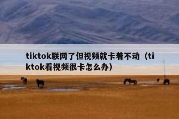tiktok联网了但视频就卡着不动（tiktok看视频很卡怎么办）