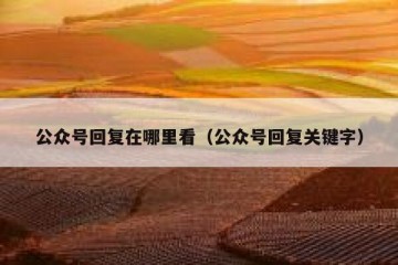 公众号回复在哪里看（公众号回复关键字）