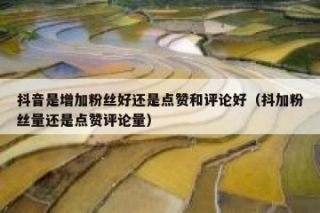 抖音是增加粉丝好还是点赞和评论好（抖加粉丝量还是点赞评论量）