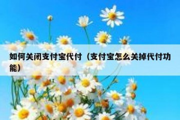 如何关闭支付宝代付（支付宝怎么关掉代付功能）