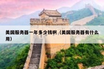 美国服务器一年多少钱啊（美国服务器有什么用）