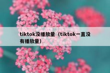 tiktok没播放量（tiktok一直没有播放量）