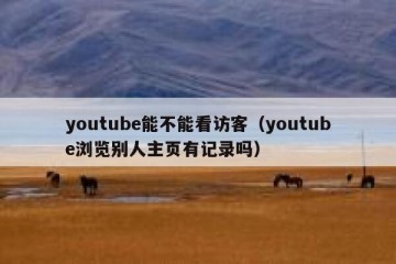 youtube能不能看访客（youtube浏览别人主页有记录吗）