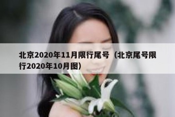 北京2020年11月限行尾号（北京尾号限行2020年10月图）
