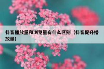 抖音播放量和浏览量有什么区别（抖音提升播放量）