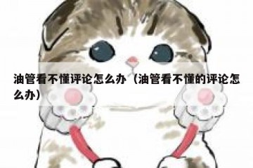 油管看不懂评论怎么办（油管看不懂的评论怎么办）