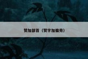 赞加部首（赞字加偏旁）
