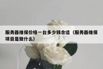 服务器维保价格一台多少钱合适（服务器维保项目是做什么）