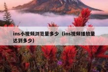 ins小视频浏览量多少（ins视频播放量达到多少）