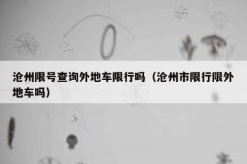 沧州限号查询外地车限行吗（沧州市限行限外地车吗）