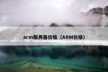 arm服务器价格（ARM价格）