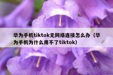 华为手机tiktok无网络连接怎么办（华为手机为什么用不了tiktok）