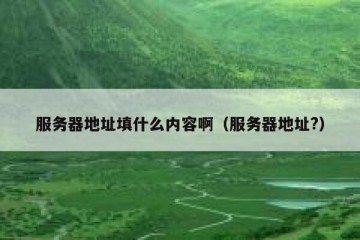 服务器地址填什么内容啊（服务器地址?）