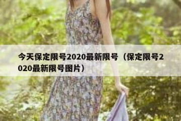 今天保定限号2020最新限号（保定限号2020最新限号图片）