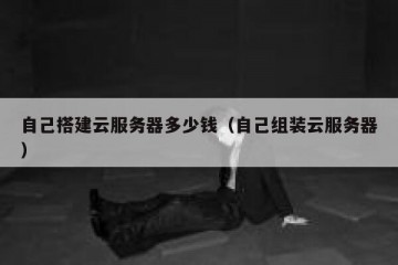 自己搭建云服务器多少钱（自己组装云服务器）