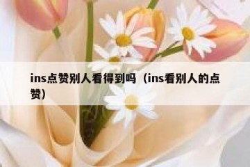 ins点赞别人看得到吗（ins看别人的点赞）