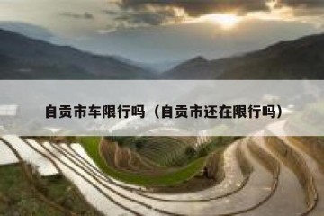 自贡市车限行吗（自贡市还在限行吗）