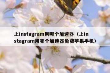 上instagram用哪个加速器（上instagram用哪个加速器免费苹果手机）