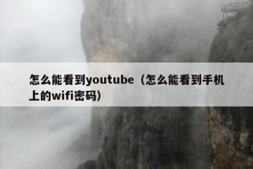 怎么能看到youtube（怎么能看到手机上的wifi密码）