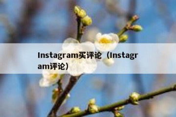 Instagram买评论（Instagram评论）