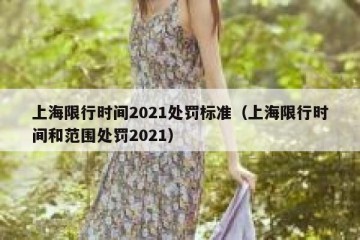 上海限行时间2021处罚标准（上海限行时间和范围处罚2021）