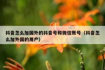 抖音怎么加国外的抖音号和微信账号（抖音怎么加外国的用户）