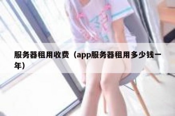 服务器租用收费（app服务器租用多少钱一年）